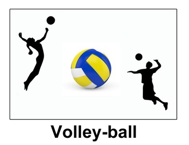 fonbeauzard volley ball recherche centrale Image 1