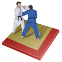Judo Image 1
